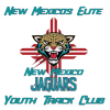 1 nmjags main logo