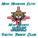 1 nmjags main logo